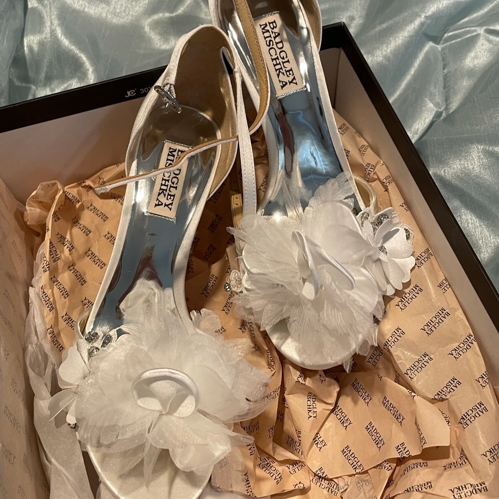 Badgley Mischa shoes. Never worn